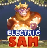 Electric Sam на казіно